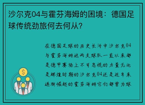 沙尔克04与霍芬海姆的困境：德国足球传统劲旅何去何从？